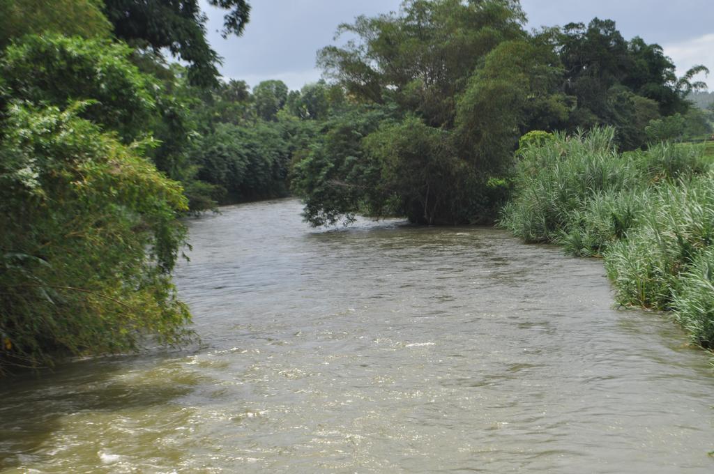 River Edge Bungalow Bed & Breakfast Matale Luaran gambar