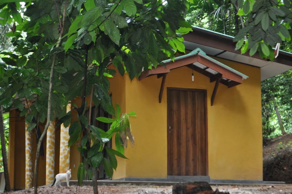 River Edge Bungalow Bed & Breakfast Matale Luaran gambar